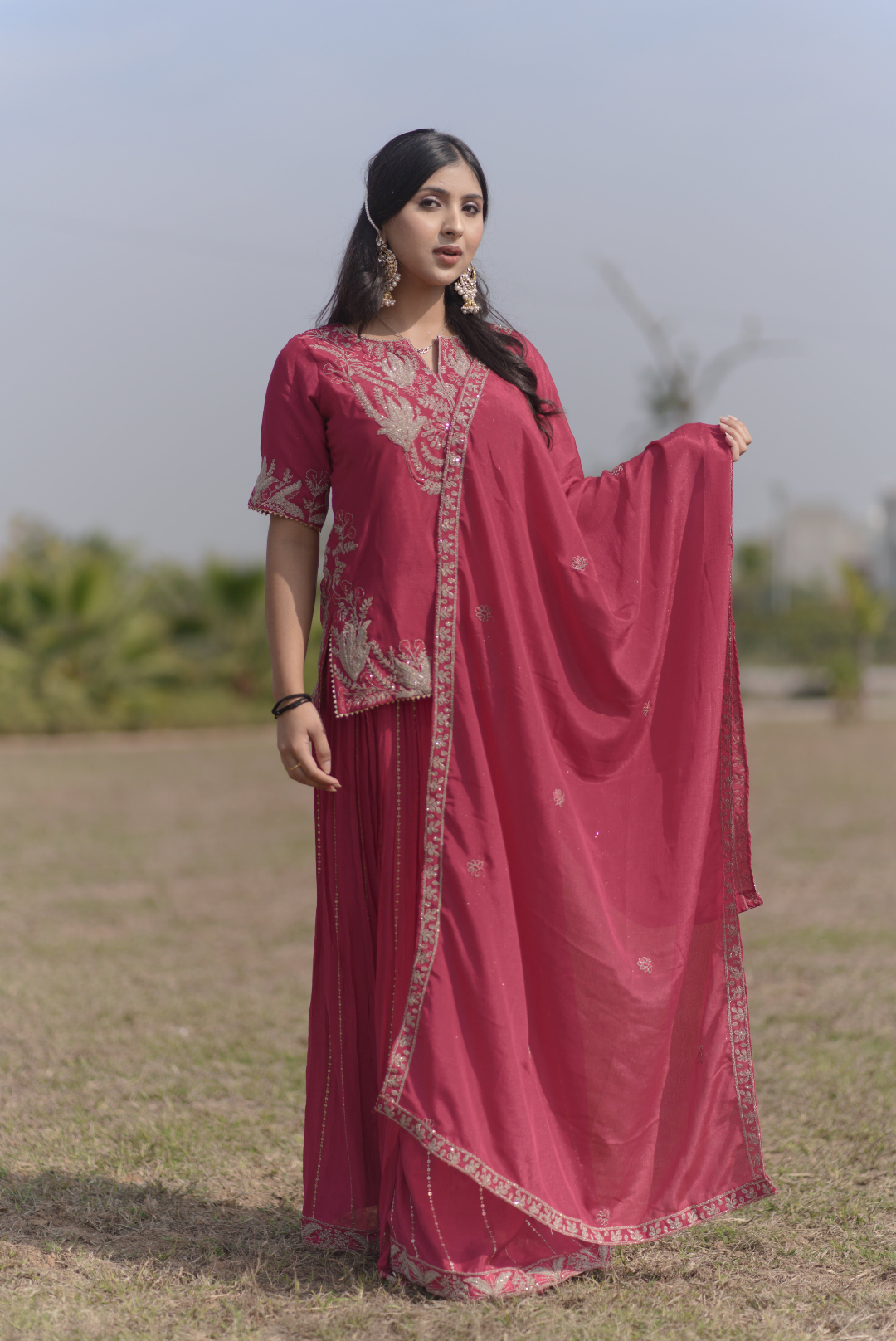 Blush Radiance Sharara Suit