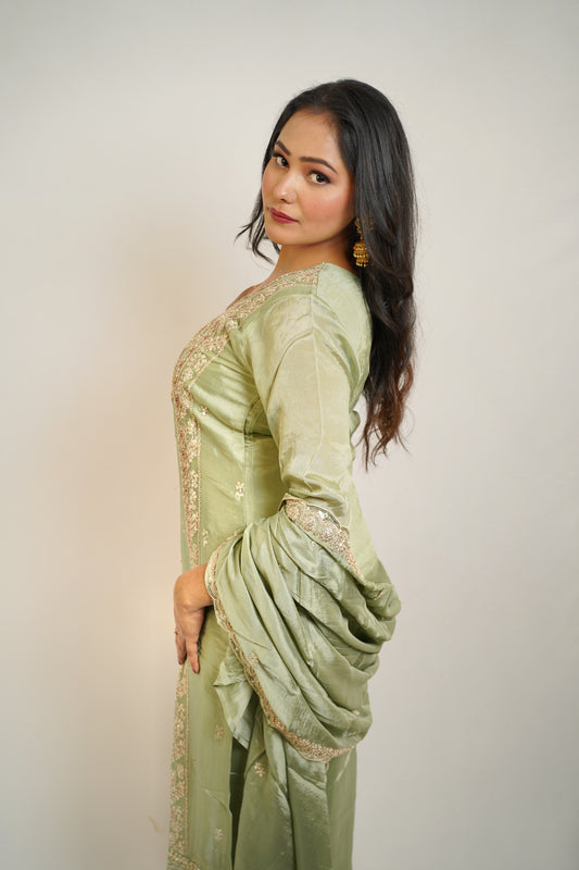 Pista Zari Embroidered Suit
