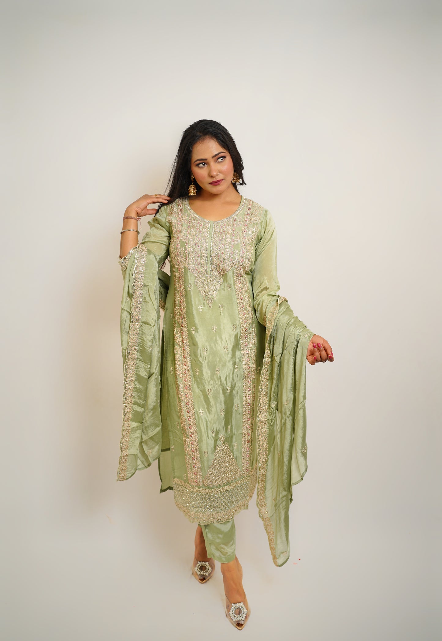 Pista Zari Embroidered Suit