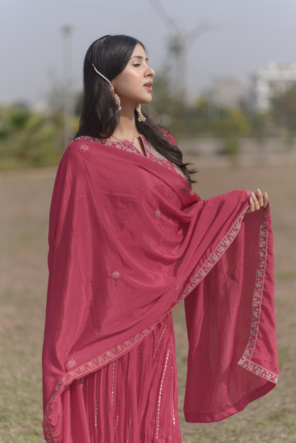Blush Radiance Sharara Suit