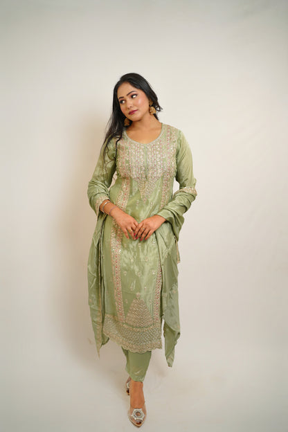 Pista Zari Embroidered Suit